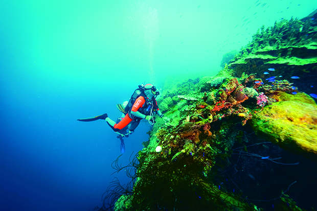 Chief Scientist Didier Zoccola examining the coral covering the 73 year old shipwreck Chang Maru _ Credit Pete West - Bioquest Studios