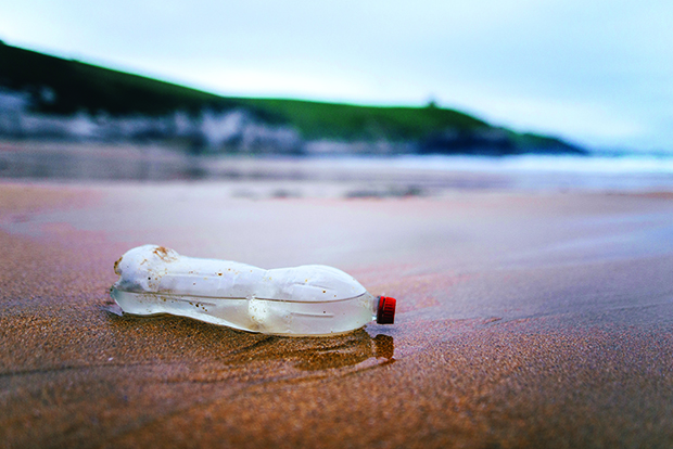 Plastic bottle on beach - Pollution.